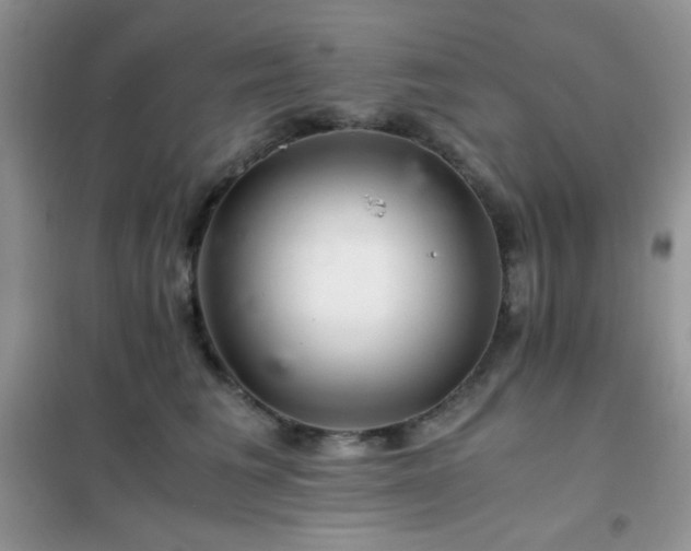 X0000102380613200808011538