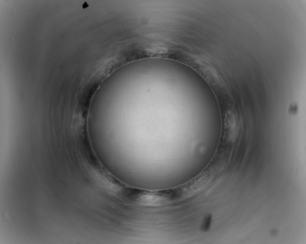 X0000102380614200808011538