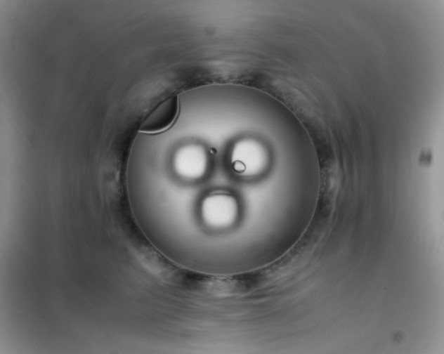 X0000102380615200808011538