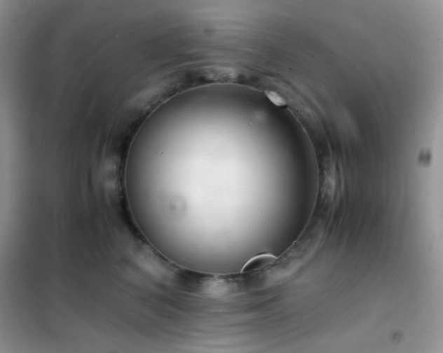 X0000102380616200808011538