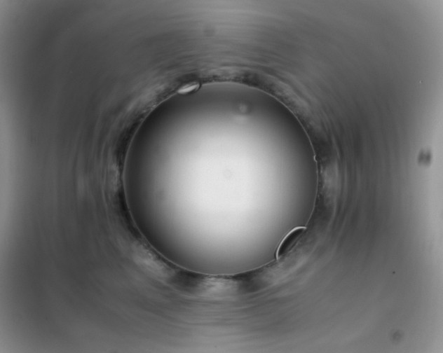 X0000102380617200808011538