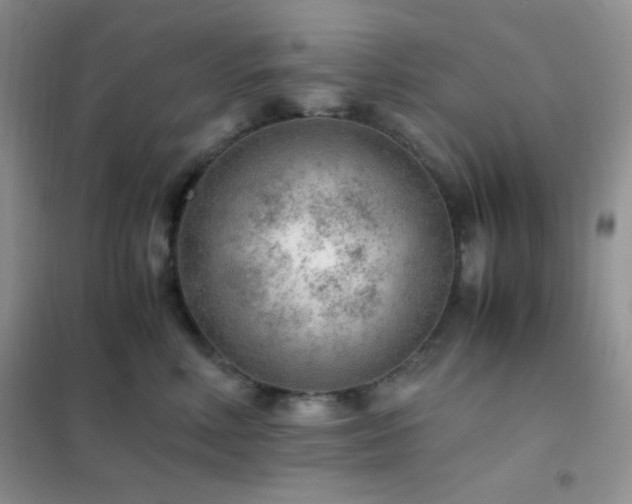 X0000102380618200808011538