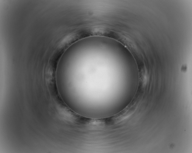 X0000102380619200808011538