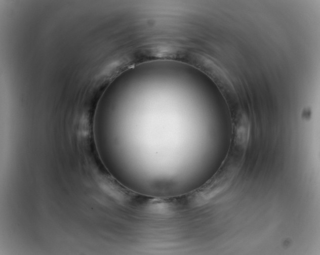 X0000102380620200808011538