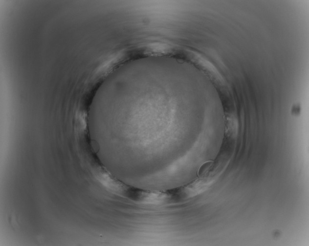 X0000102380621200808011538