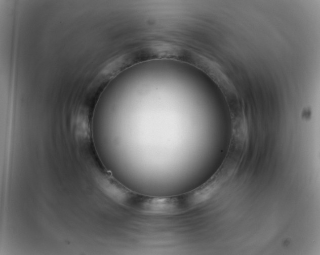 X0000102380622200808011538
