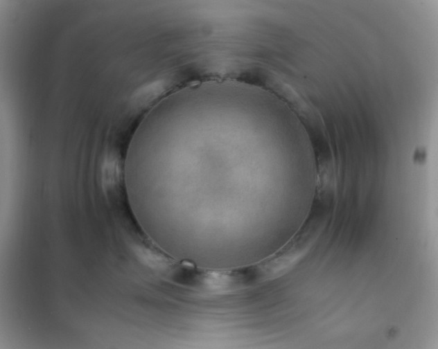 X0000102380623200808011538