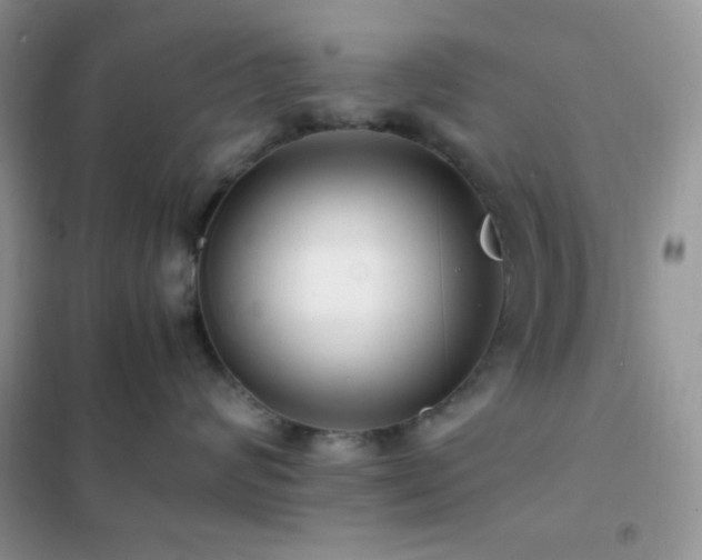X0000102380624200808011538