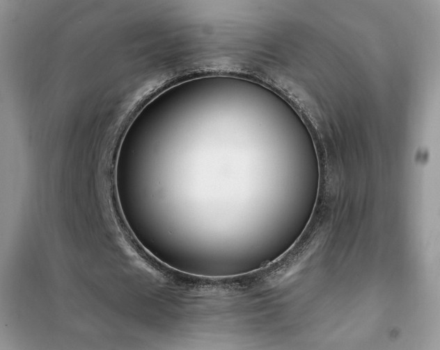 X0000102380625200808011537