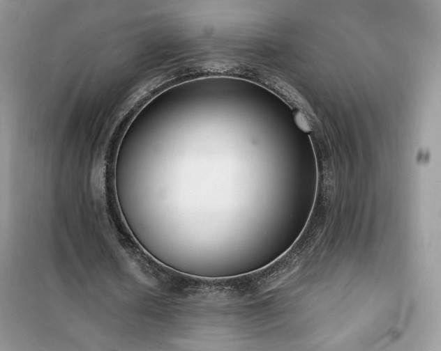 X0000102380626200808011537