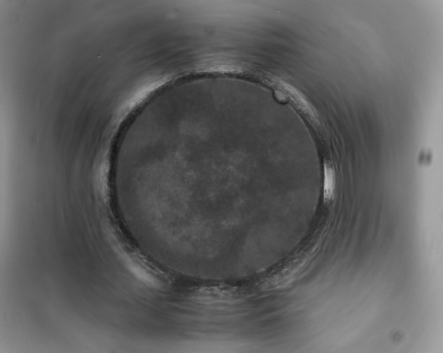 X0000102380627200808011537