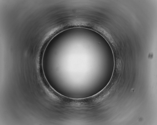 X0000102380629200808011537