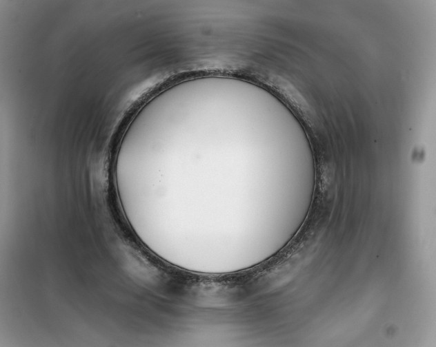 X0000102380632200808011537