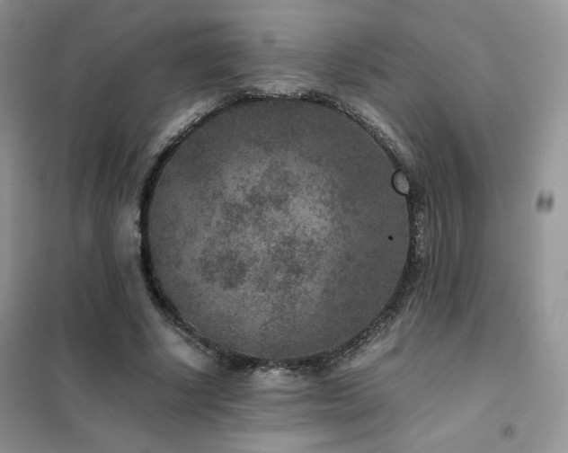 X0000102380634200808011537