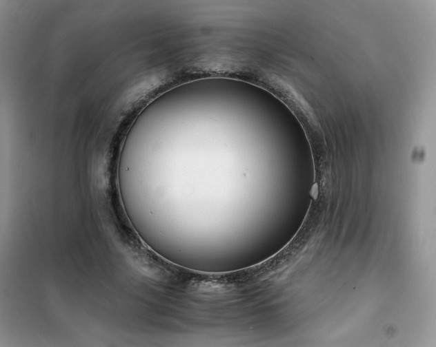 X0000102380635200808011537