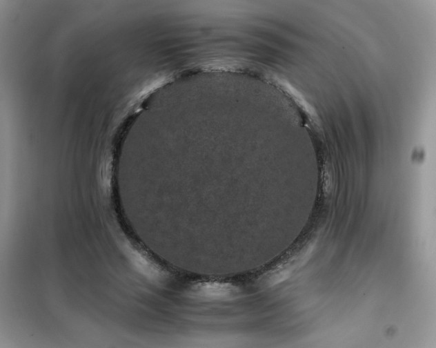 X0000102380637200808011537