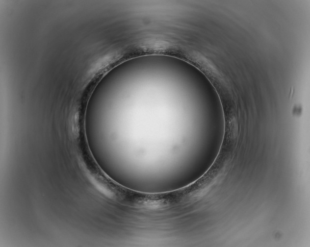X0000102380638200808011538