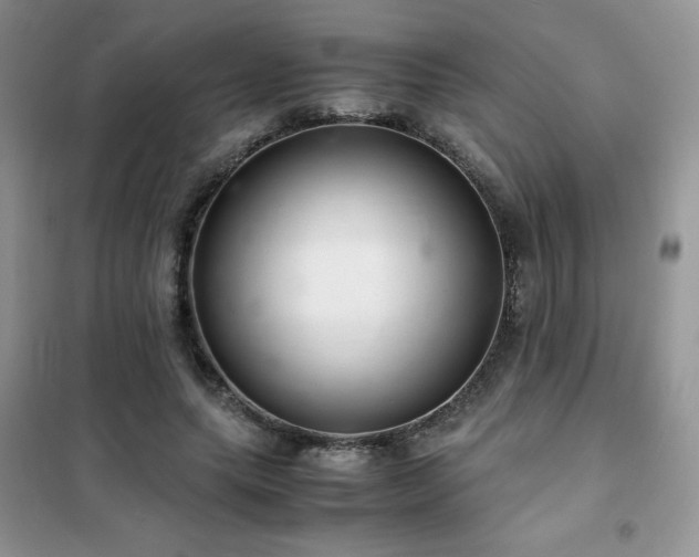 X0000102380639200808011538