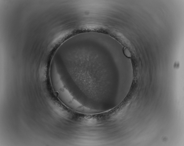 X0000102380640200808011538