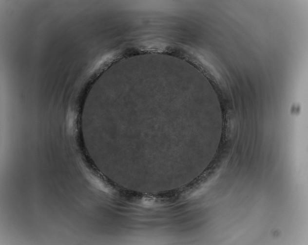 X0000102380641200808011538