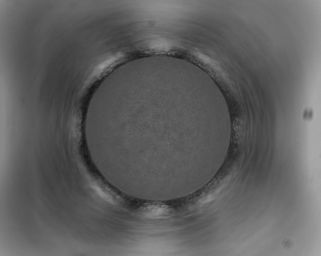 X0000102380642200808011538