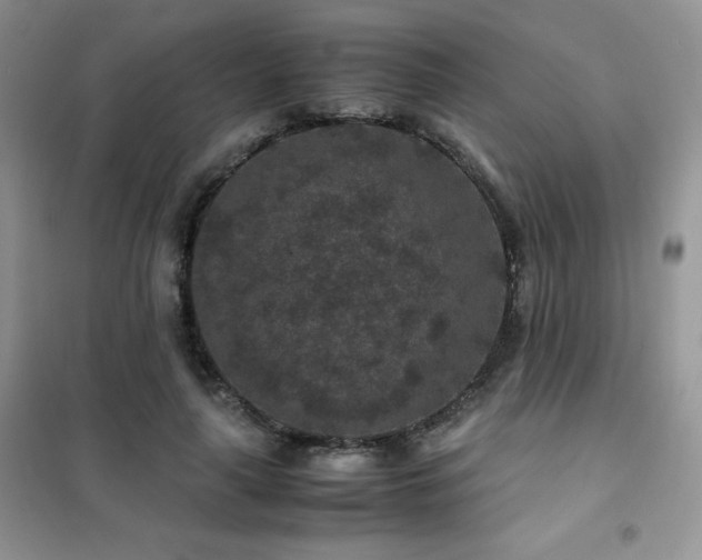 X0000102380643200808011538