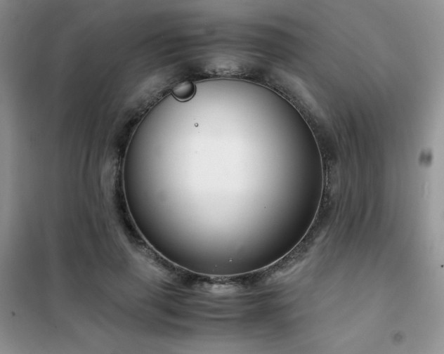 X0000102380645200808011538