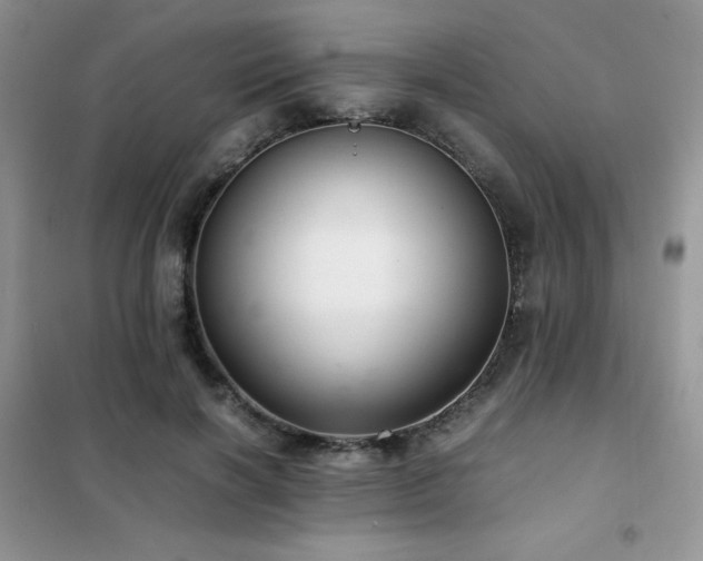 X0000102380646200808011538