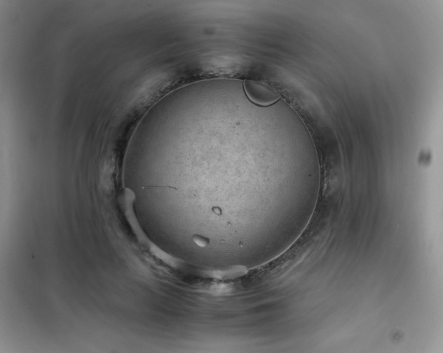 X0000102380647200808011538