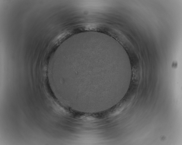 X0000102380648200808011538