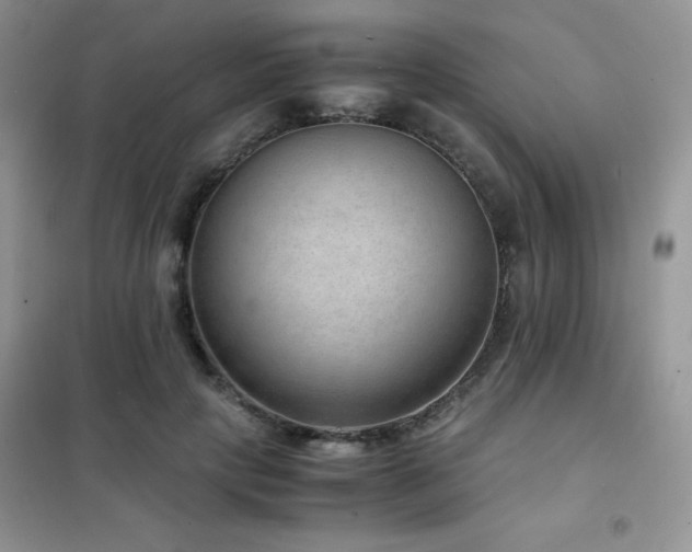 X0000102380649200808011538