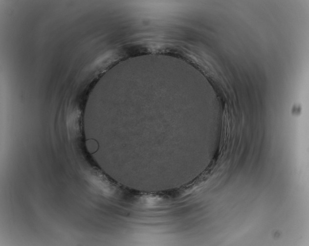 X0000102380650200808011538