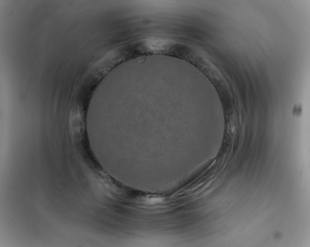 X0000102380651200808011538