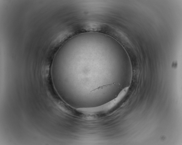X0000102380652200808011538