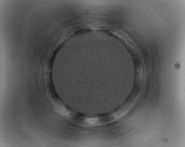 X0000102380653200808011538