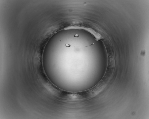 X0000102380654200808011538