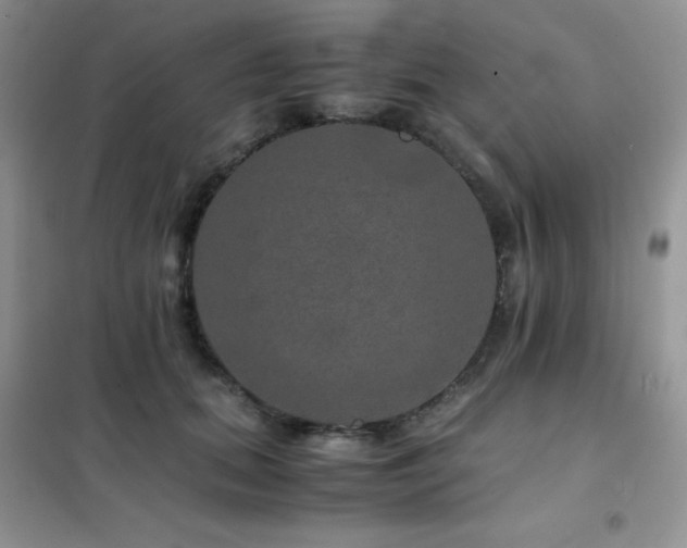 X0000102380655200808011538