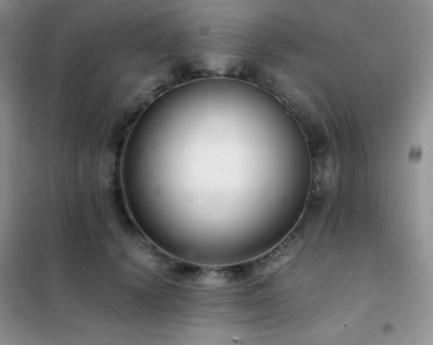 X0000102380656200808011538
