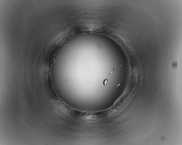 X0000102380657200808011538