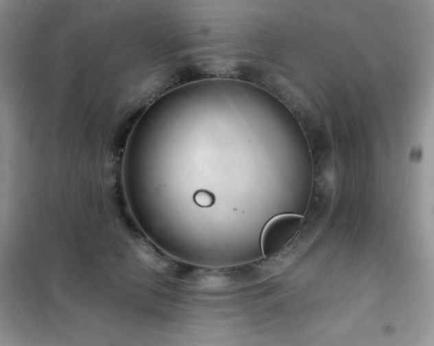 X0000102380658200808011538