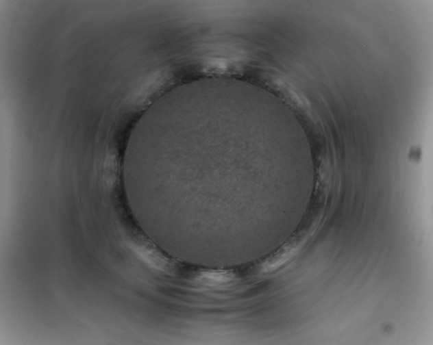 X0000102380659200808011538