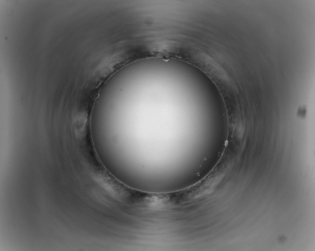 X0000102380660200808011538