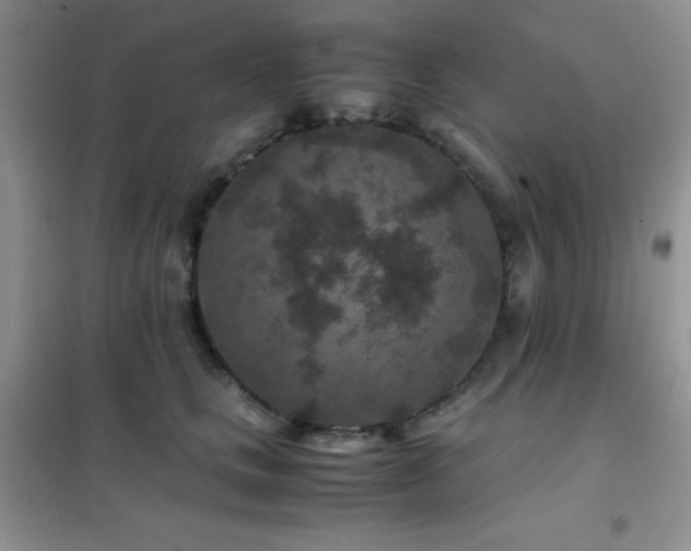 X0000102380661200808011538
