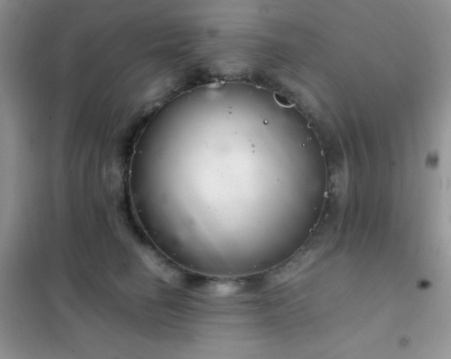 X0000102380662200808011538
