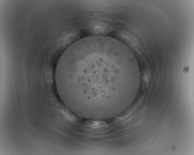 X0000102380663200808011538