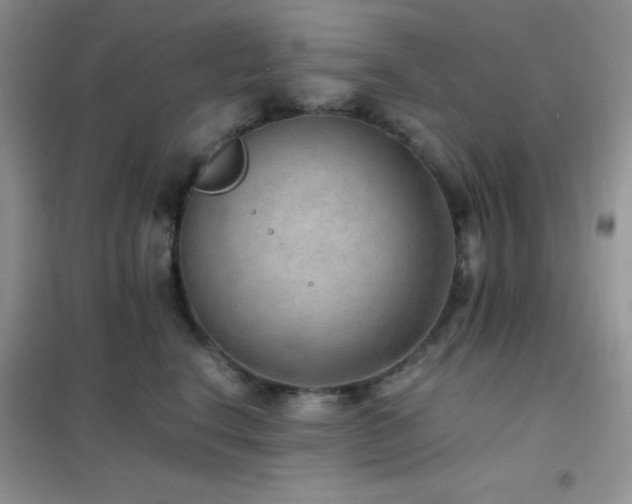 X0000102380664200808011538