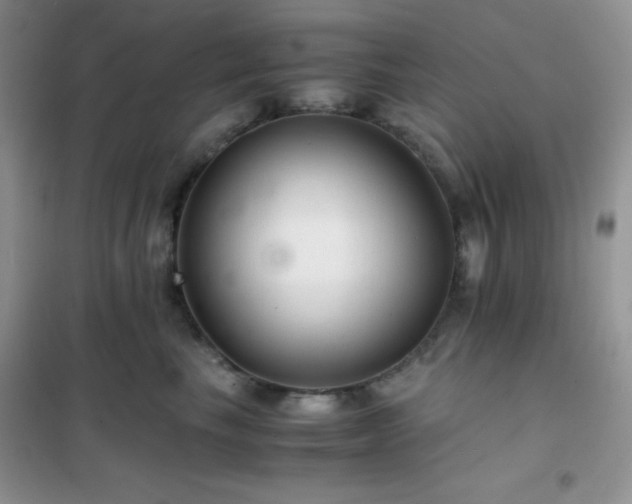 X0000102380665200808011538