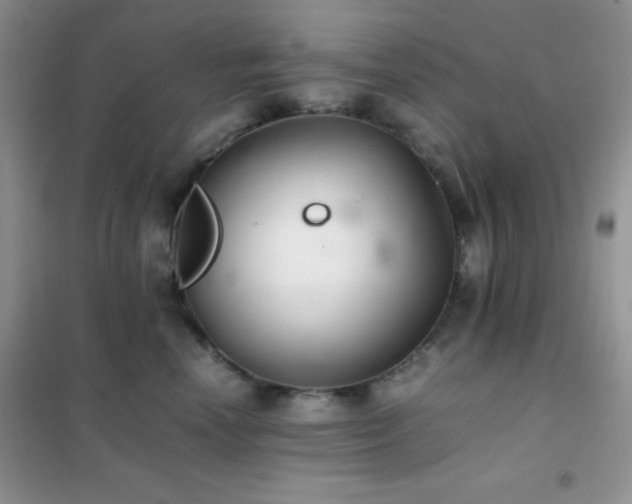 X0000102380666200808011538