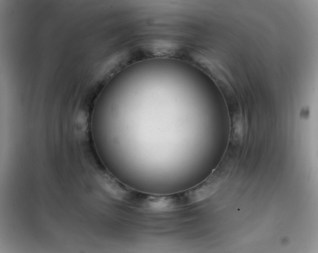 X0000102380667200808011538