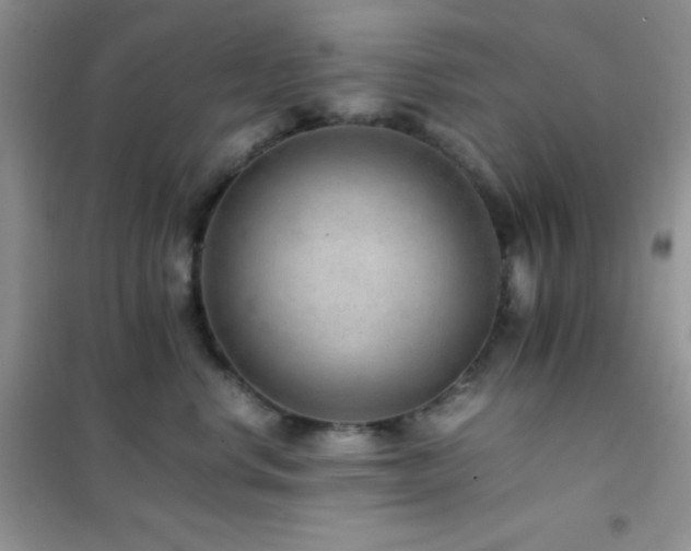 X0000102380668200808011538